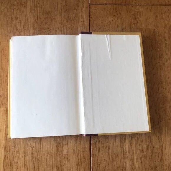 THE CHANCELLOR MANUSCRIPT by Robert Ludlum 1977 1st Edition Dial Press Hardcover - Picture 6 of 9